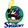 Yakult Swallows Official Site